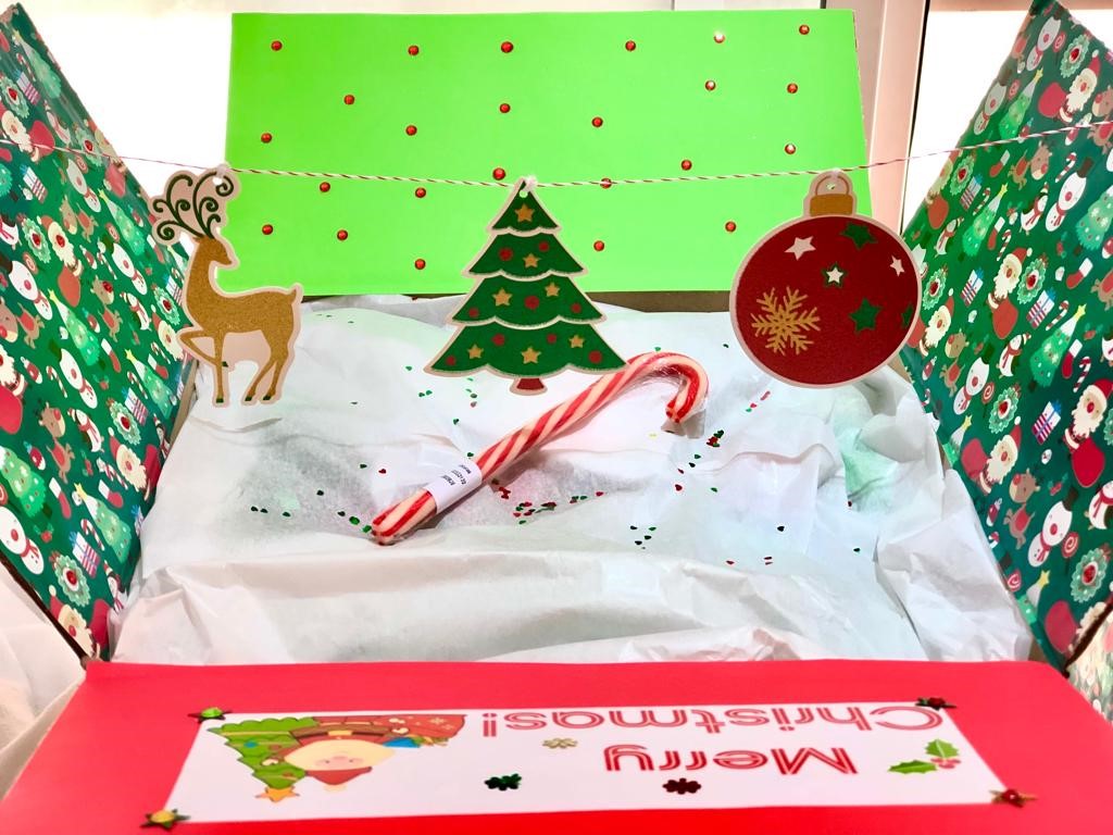 Christmas Package - Image 2